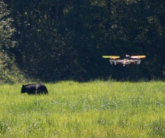 Droni stimeranno i danni all'agricoltura