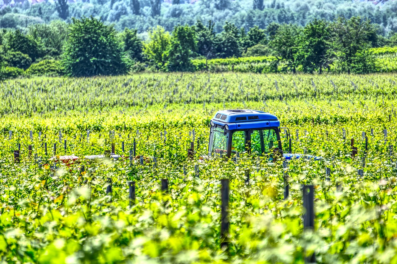 L'agricoltura del futuro: droni, app e sensori